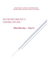 Đề cương ôn tập Giữa kì 2 Hóa học 11 năm 2025–2026 trường THPT chuyên Lương Văn Chánh (Đắk Lắk)